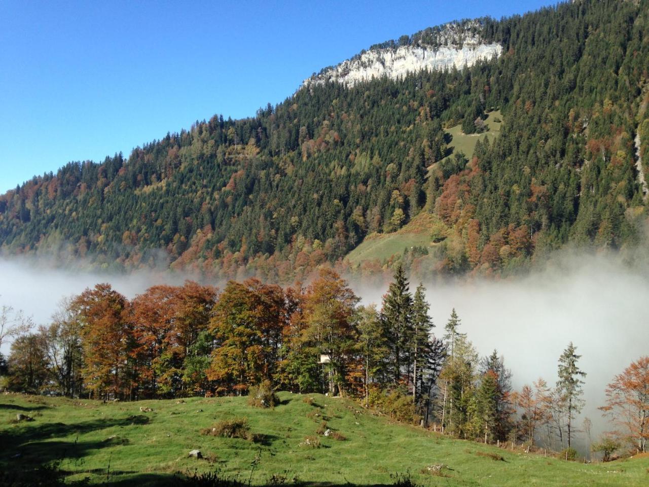 Swiss Seeblick Apartment Mit Hotelanbindung Beatenberg Dış mekan fotoğraf